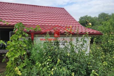 Casă individuală cu 3 camere cu Teren 2663 Mp în Telița - 3