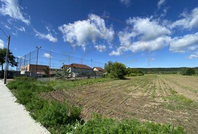 Teren intravilan 7.295 mp – Argeselu, Maracineni, AG - 4