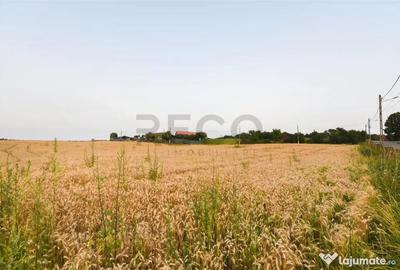 Teren de 1000 mp, în Lăzăreni - 4