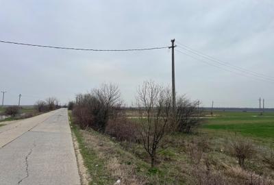 Giurgiu-Marsa Teren Agricol 8.5 Ha - 7