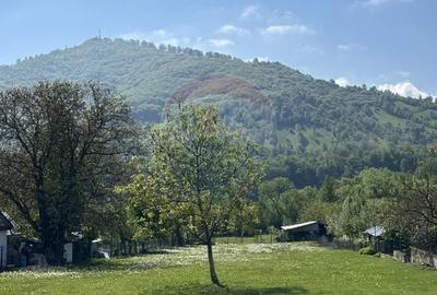 Teren Construcții intravilan de 3606 mp, în Pângărați - 4