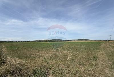 Teren Investitii 2.5 Ha | Zona Tetarom III Rascruci - 4