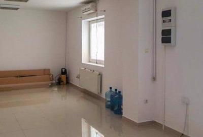 Casă individuală cu 10 camere în Scriitorilor - 14