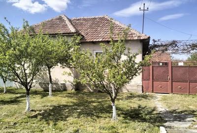 Casă cu 3 camere în Susag - 6