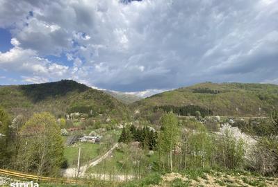 Teren de 4360 mp, în Valea Doftanei - 10