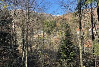 Spațiu comercial, în Central - 2