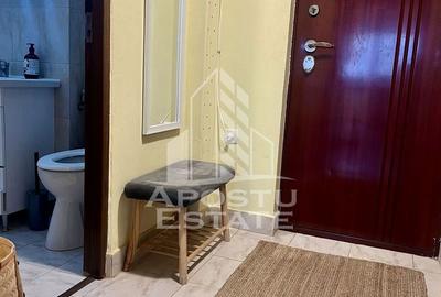 Garsonieră, mobilată în Take Ionescu - 5