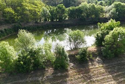 Casă individuală cu 10 camere cu Canalizare în Teișori - 2