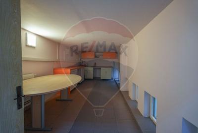 Birou, de 258 mp, în Baba Novac - 17