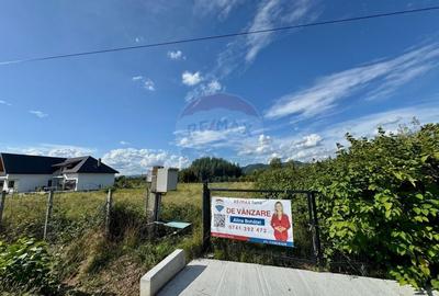 De vanzare Teren intravilan in Busag, ideal pentru casa ta! De vanzare Teren intravilan in Busag, ideal pentru casa ta! - 10