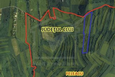 Teren agricol extravilan de 24280 mp, în Sopor - 5