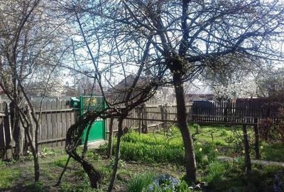 Casă cu 2 camere în Central - 5