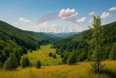 COMISION 0% Teren 6,572 mp/Cur?i construc?ii/ Intravilan - 4