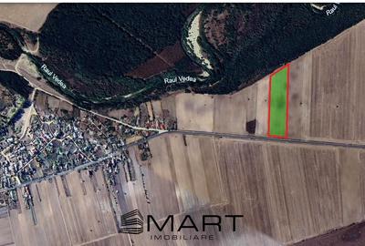 Teren agricol extravilan de 11900 mp, în Scrioaștea - 1