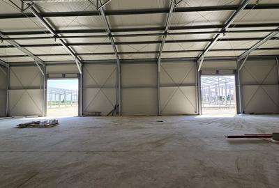 Hale noi in zona Progresul, Jilava - 7