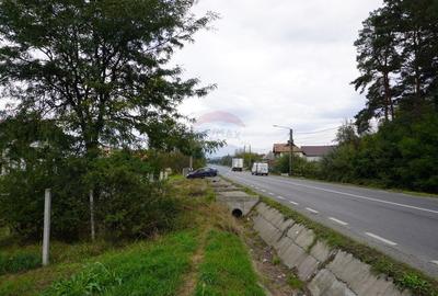 Teren 7968 mp Sighetu Marmatiei / Strada Lazu Baciului - 5