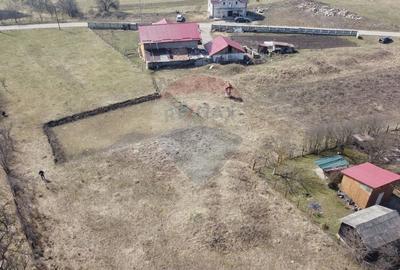 Teren Construcții intravilan de 3591 mp, în Aghireșu-Fabrici - 6