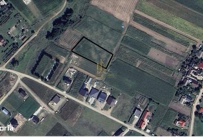 Teren de 2479 mp, în Dărmănești - 3