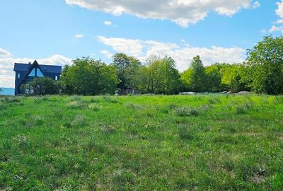 Teren intravilan,cadru natural de poveste,Scaricica-Gloduri,Al.cel Bun - 5