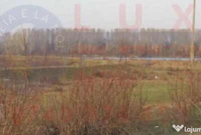 Teren de 6000 mp, în Mahmudia - 1