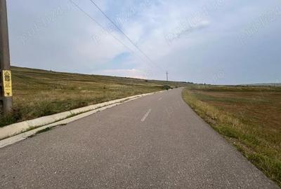 Teren de 12600 mp, în Siliștea - 5