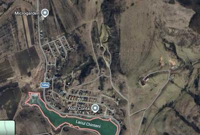 Spațiu comercial, în Chinteni - 5