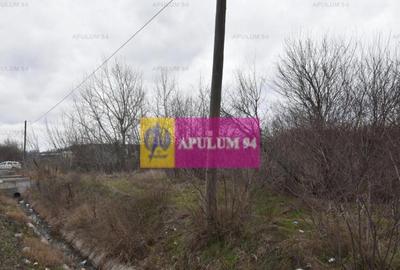 Teren cu potential comercial, bun pentru Showroom. - 13