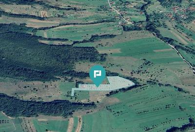 Teren de 92294 in Halmagiu - 2