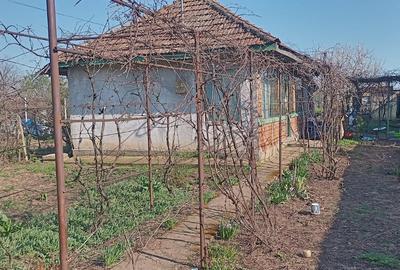 Casă cu 3 camere cu Teren 863 Mp în Central - 1