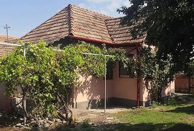 Teren de 12000 mp, în Ierbuș - 6
