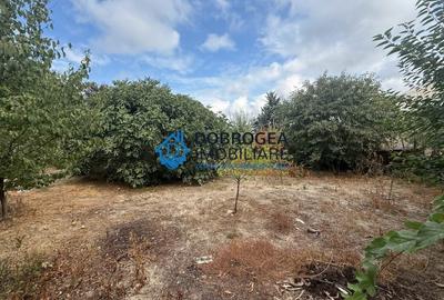 Casă individuală cu 3 camere cu Teren 690 Mp în Peco - 6