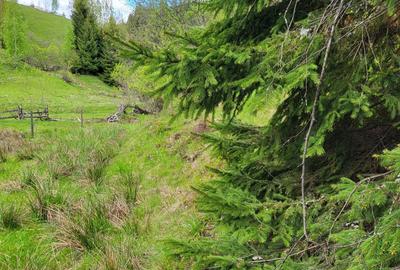 Spațiu comercial, în Măguri - 3