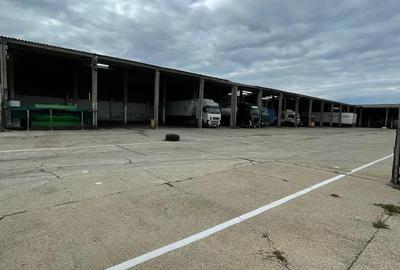 Teren industrial cu platforma betonata - 6