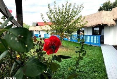 Casă cu Teren 1500 Mp în Crișan - 16