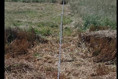 Teren 5 Ari Zona Moara - 2