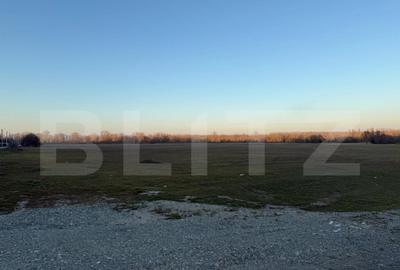 Teren de 4307 mp, în Podari - 5