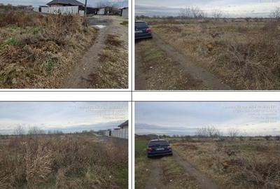 Teren de 4946 mp, în Clinceni