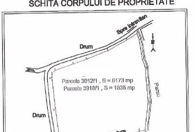 Teren agricol extravilan de 8008 mp, în Hășdat - 6