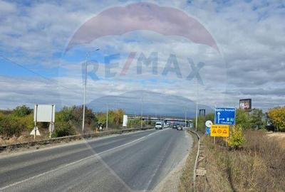 Teren de 9993 mp, în Glina - 8