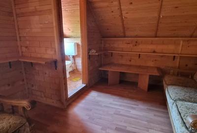Casă cu 7 camere cu Teren 5000 Mp în Siliștea - 4