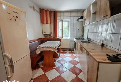 Apartament cu 2 camere semidecomandat în Mioriței - 2