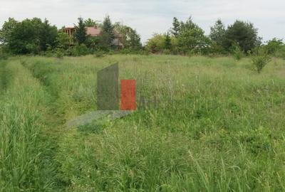 Teren Construcții intravilan de 3000 mp, în Sud - 18