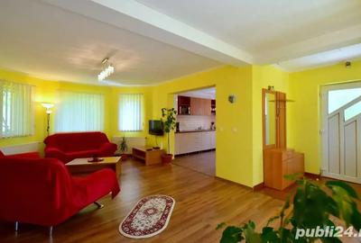 Casa individuala de inchiriat in Dumbravita - 12