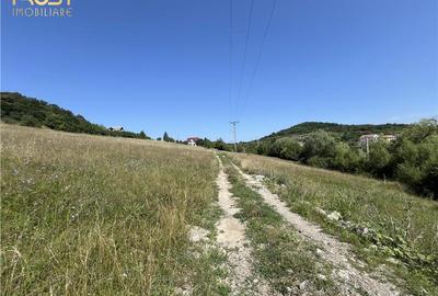 Teren intravilan Valea Castailor, zona Rombat - 6