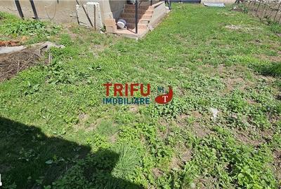 Casă cu 2 camere cu Teren 1534 Mp în Cricău - 13