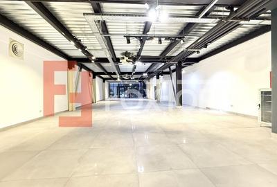 Showroom premium pe 2 nivele 560 mp, in zona Lipovei - 2