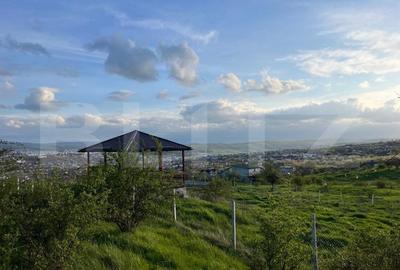 Teren extravilan, 1354 mp, Colonia Breaza - 3