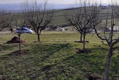 Teren de 550 mp, în Central