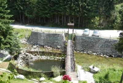 Spațiu comercial, de 500 mp, în Central - 6