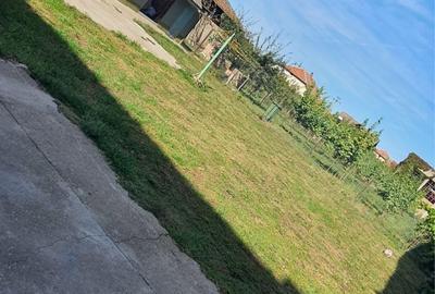 Casă cu 3 camere în Teremia Mare - 7